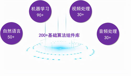 人工智能基礎(chǔ)軟件開發(fā) 從零到一，算法開發(fā)竟如此簡單